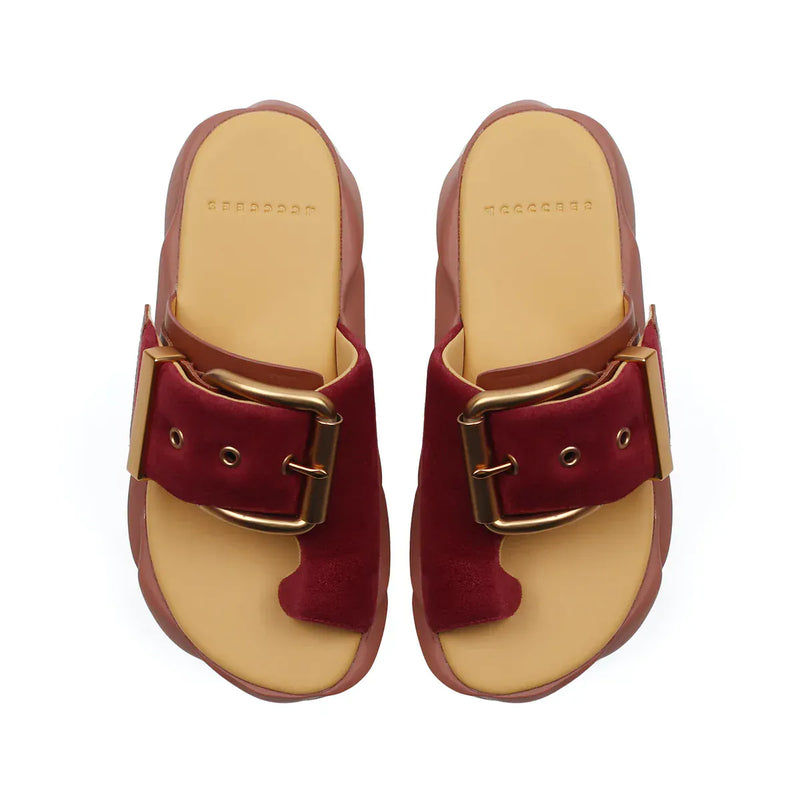 4ccccees - Mellow Glow Rose