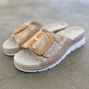 Citrine Slide by Ara - Shell 05