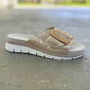 Citrine Slide by Ara - Shell 05