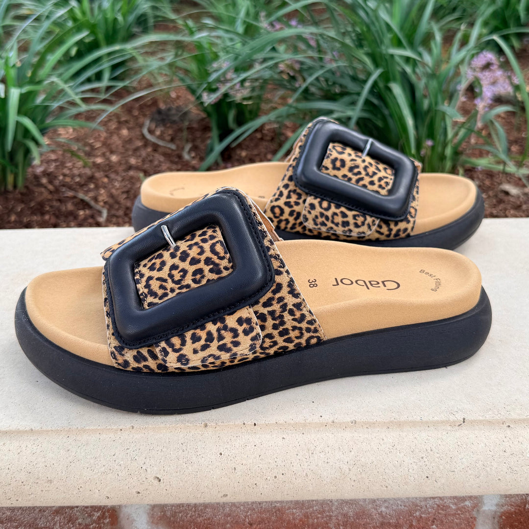 GABOR SLIDE 26 - Leopard
