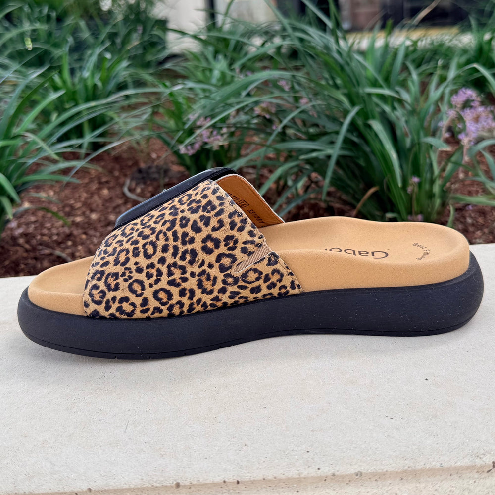 GABOR SLIDE 26 - Leopard