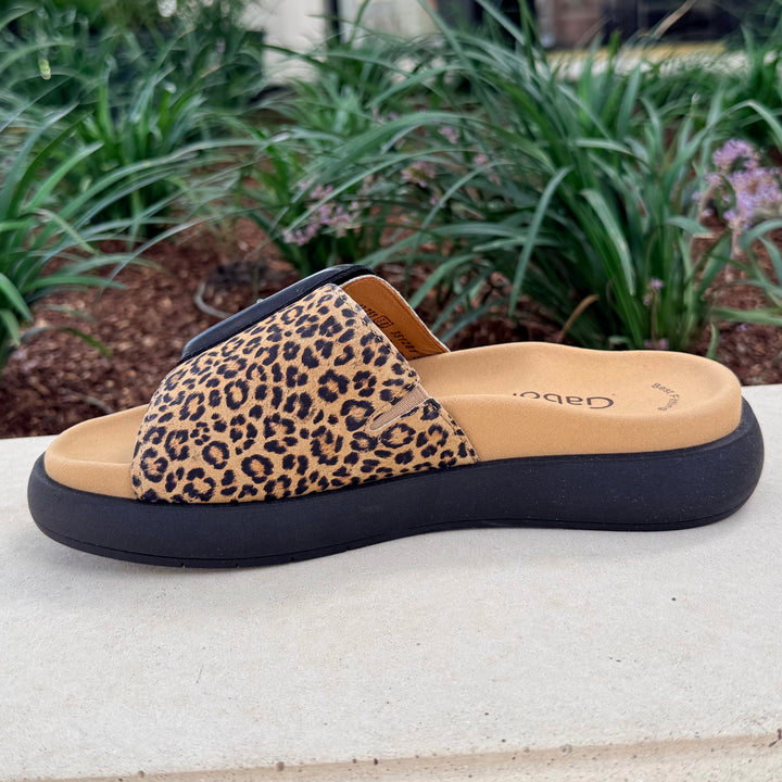 GABOR SLIDE 26 - Leopard