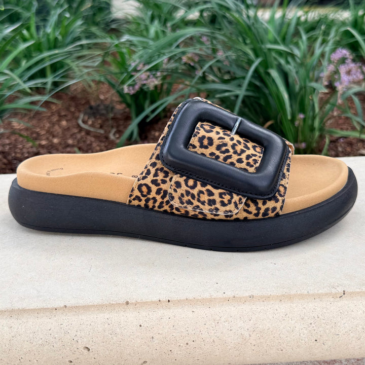 GABOR SLIDE 26 - Leopard