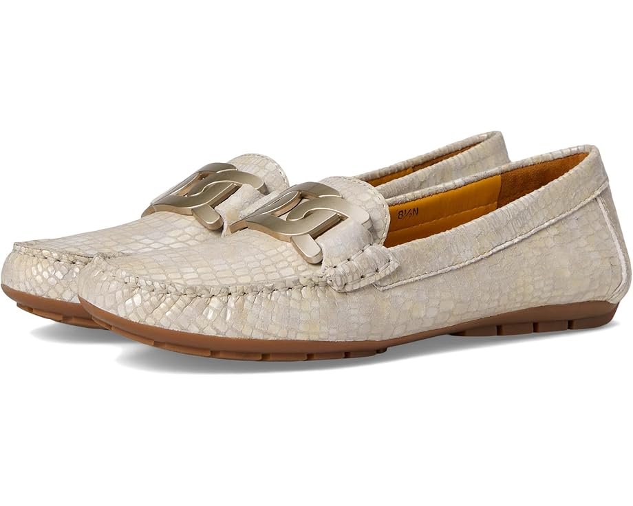 Vaneli - Aiker Champagne Boro